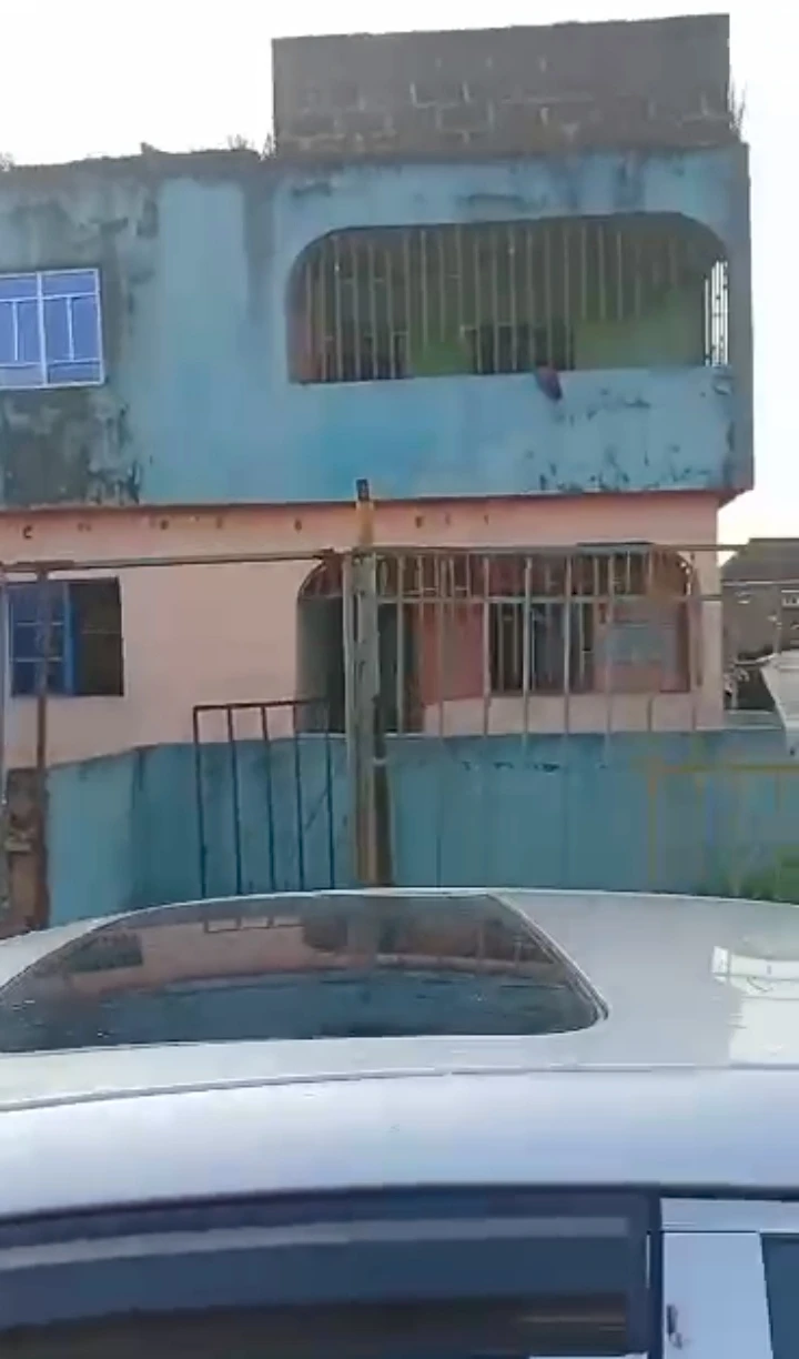 School for Sale in Upper forestry, Edo - Image 3