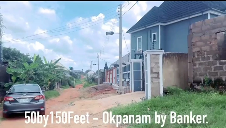 Land for Sale in Okpanam, Delta - Image 2