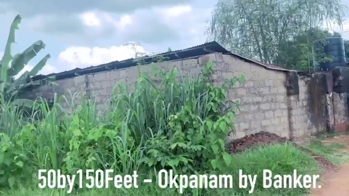 Land for Sale in Okpanam, Delta - Image 3