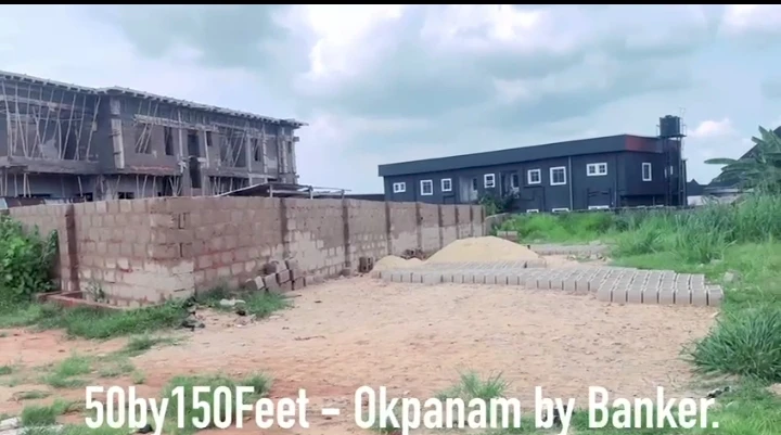 Land for Sale in Okpanam, Delta - Image 1