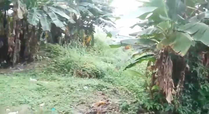 Land for Sale in Jakpa, Delta - Image 3