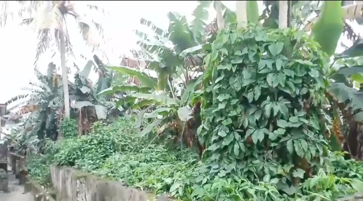 Land for Sale in Jakpa, Delta - Image 2