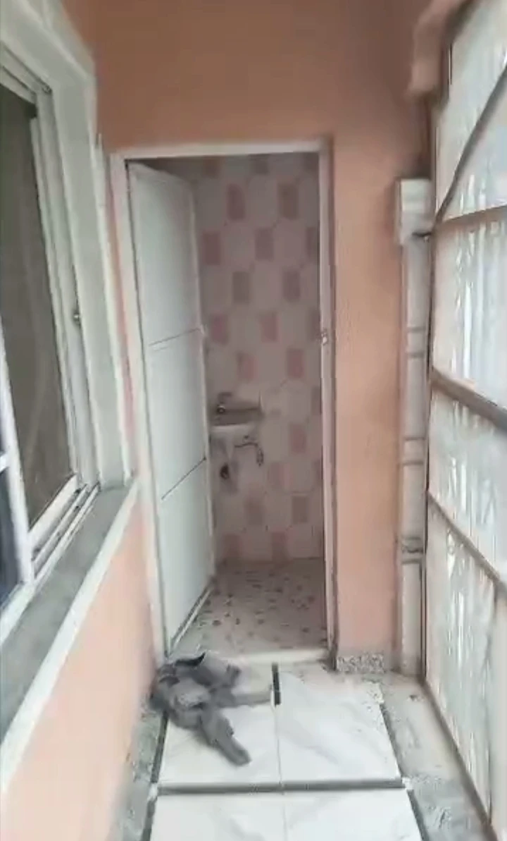 1 Bedroom Flat for Rent in Chalisco, Delta - Image 2