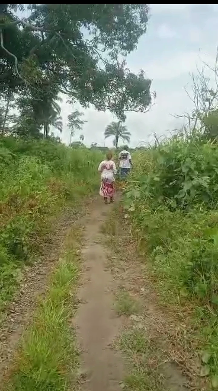 Land for Sale in Niger cat, Delta - Image 3
