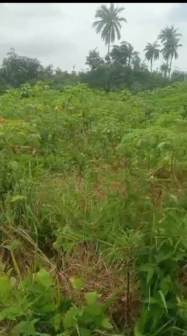 Land for Sale in Niger cat, Delta - Image 1