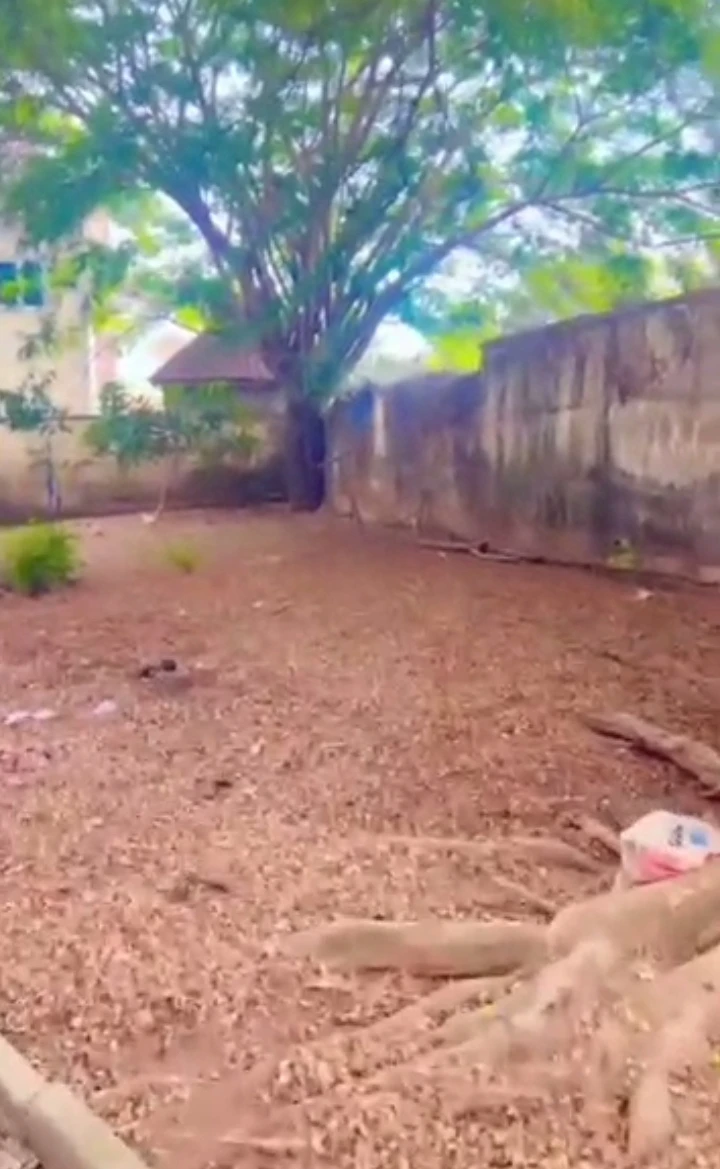 Land for Sale in Maitama, FCT - Image 1