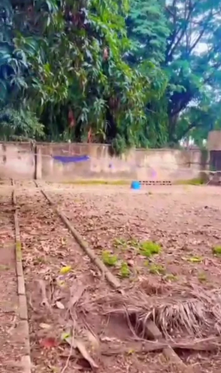 Land for Sale in Maitama, FCT - Image 3