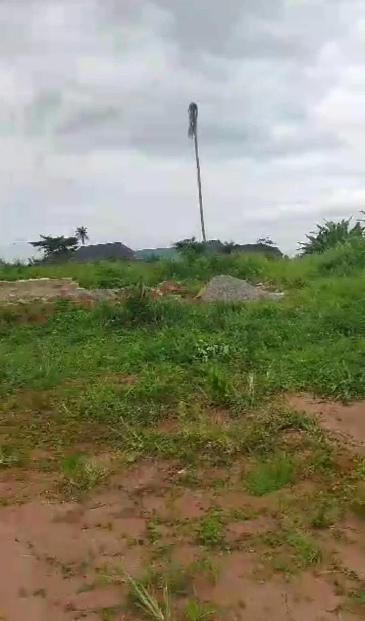 Land for Sale in Idumwenyin, Edo - Image 1