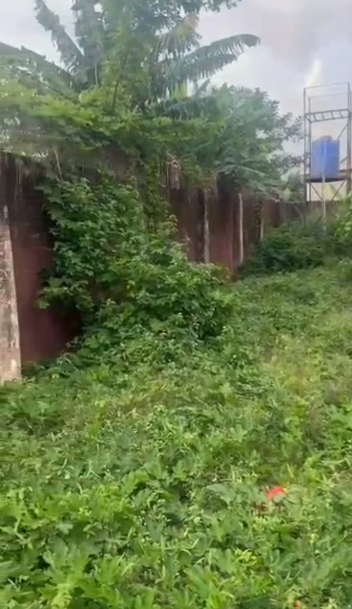 Bungalow for Sale in Ekehuaw road, Edo - Image 1