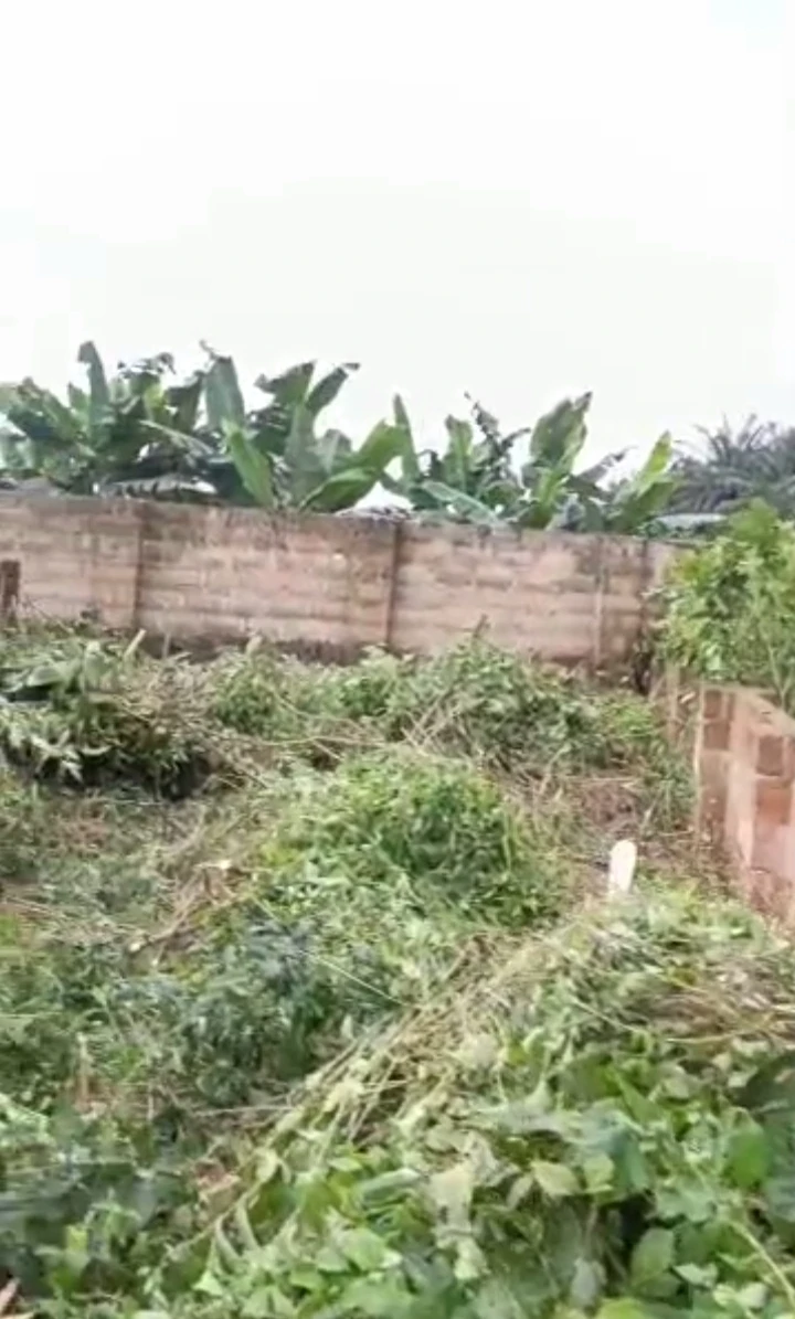 Uncompleted Building for Sale in Amagba, Edo - Image 1
