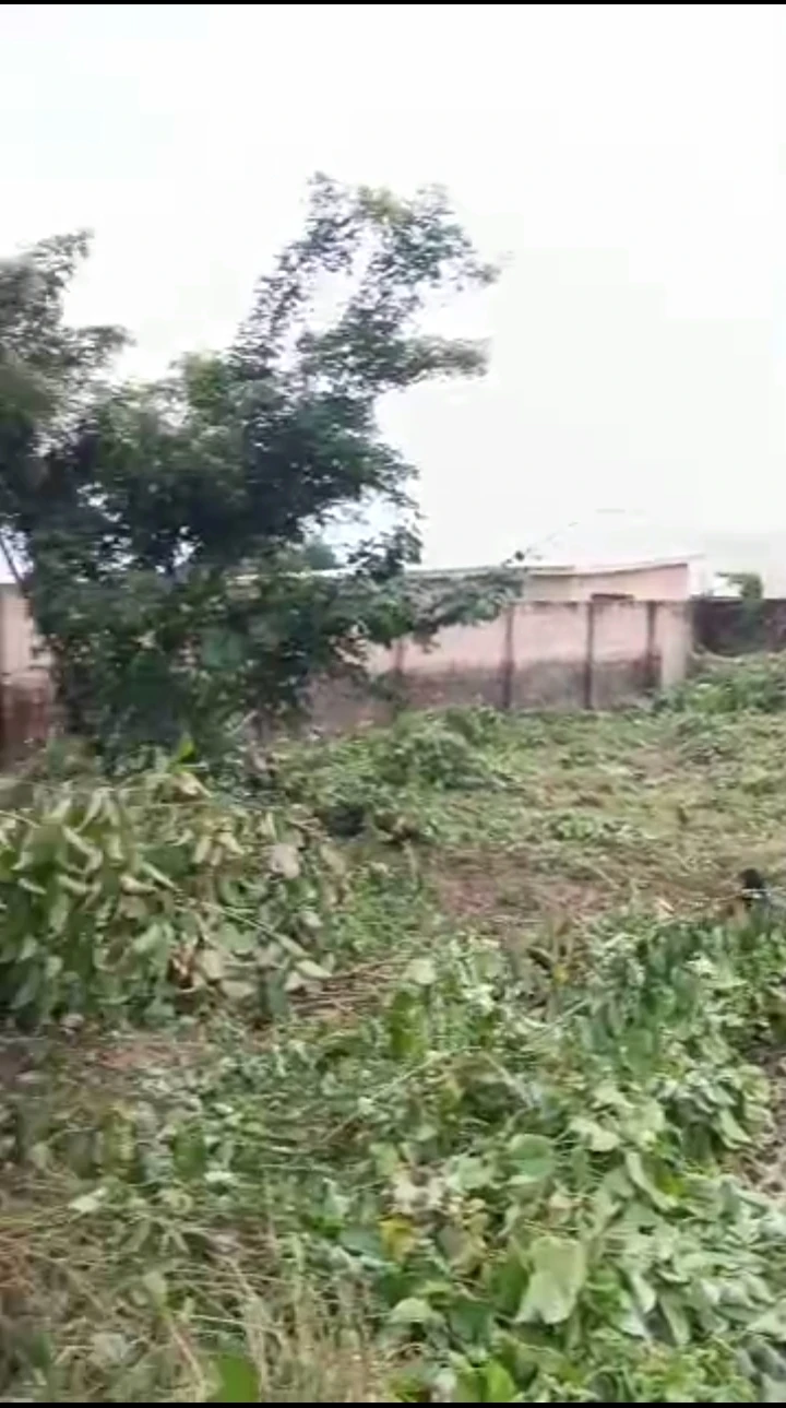 Uncompleted Building for Sale in Amagba, Edo - Image 3