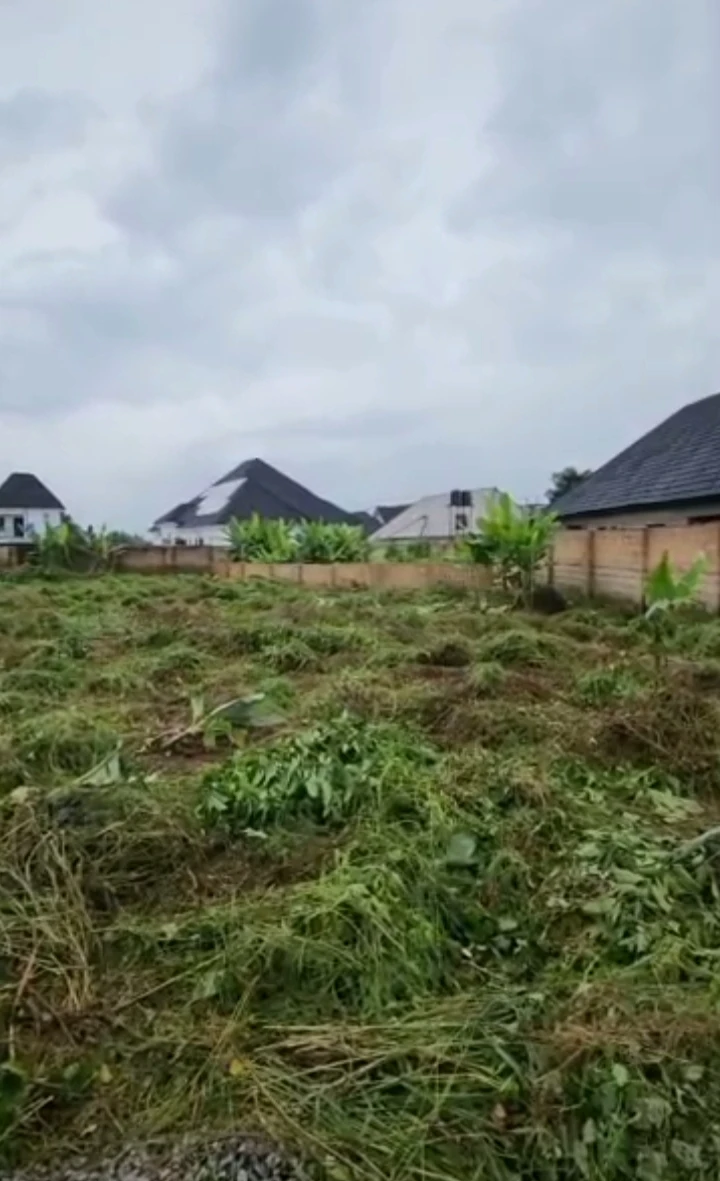 Land for Sale in Okhouromi, Edo - Image 1