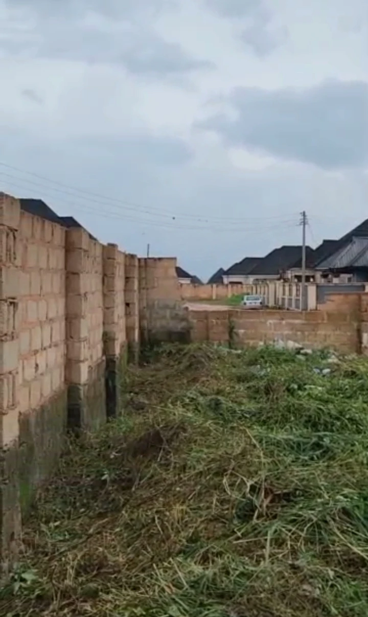 Land for Sale in Okhouromi, Edo - Image 2