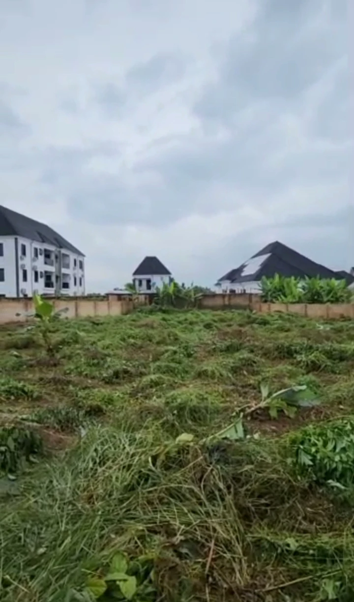 Land for Sale in Okhouromi, Edo - Image 3