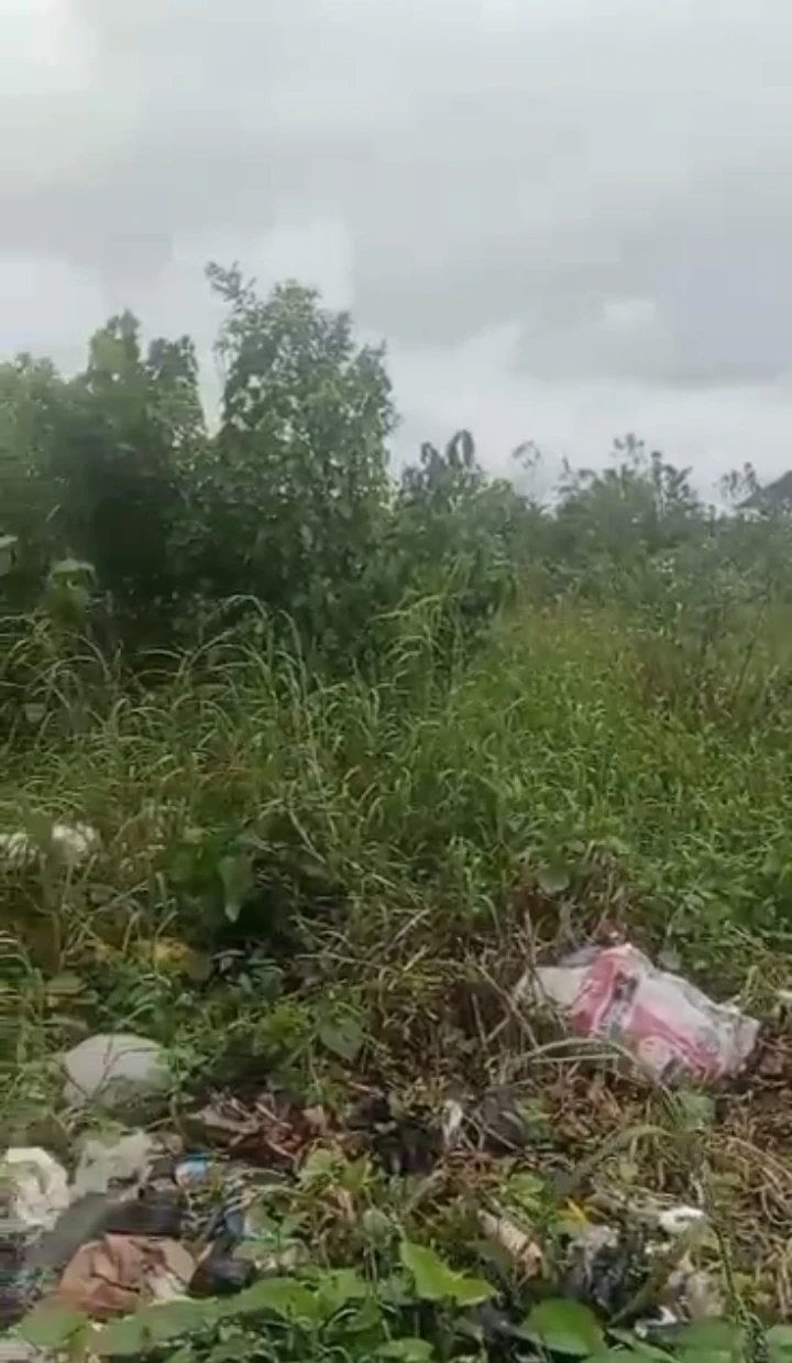 Land for Sale in Ubeji Warri Delta state, Delta - Image 1