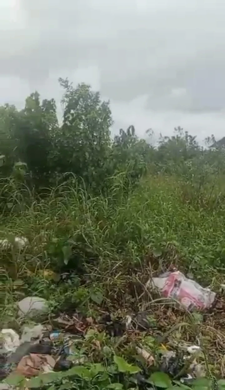 Land for Sale in Ubeji Warri Delta state, Delta - Image 3