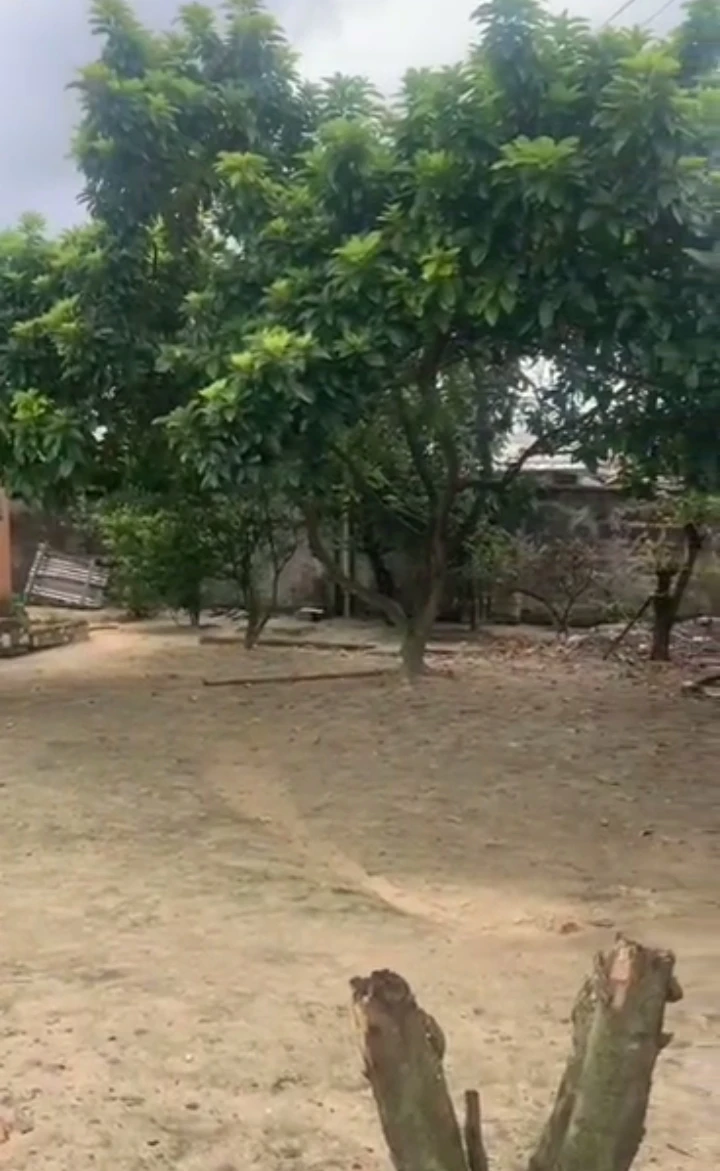 Bungalow for Sale in Oku ORHUWURHUN, Delta - Image 2