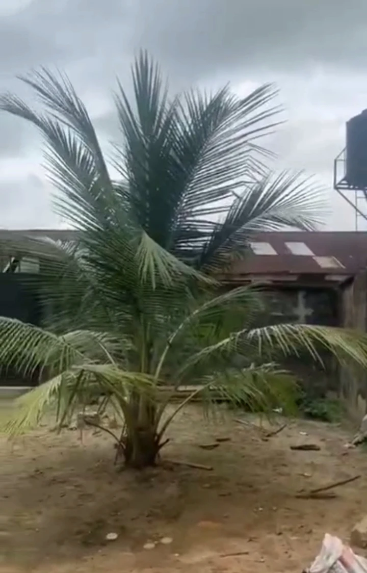 Bungalow for Sale in Oku ORHUWURHUN, Delta - Image 3