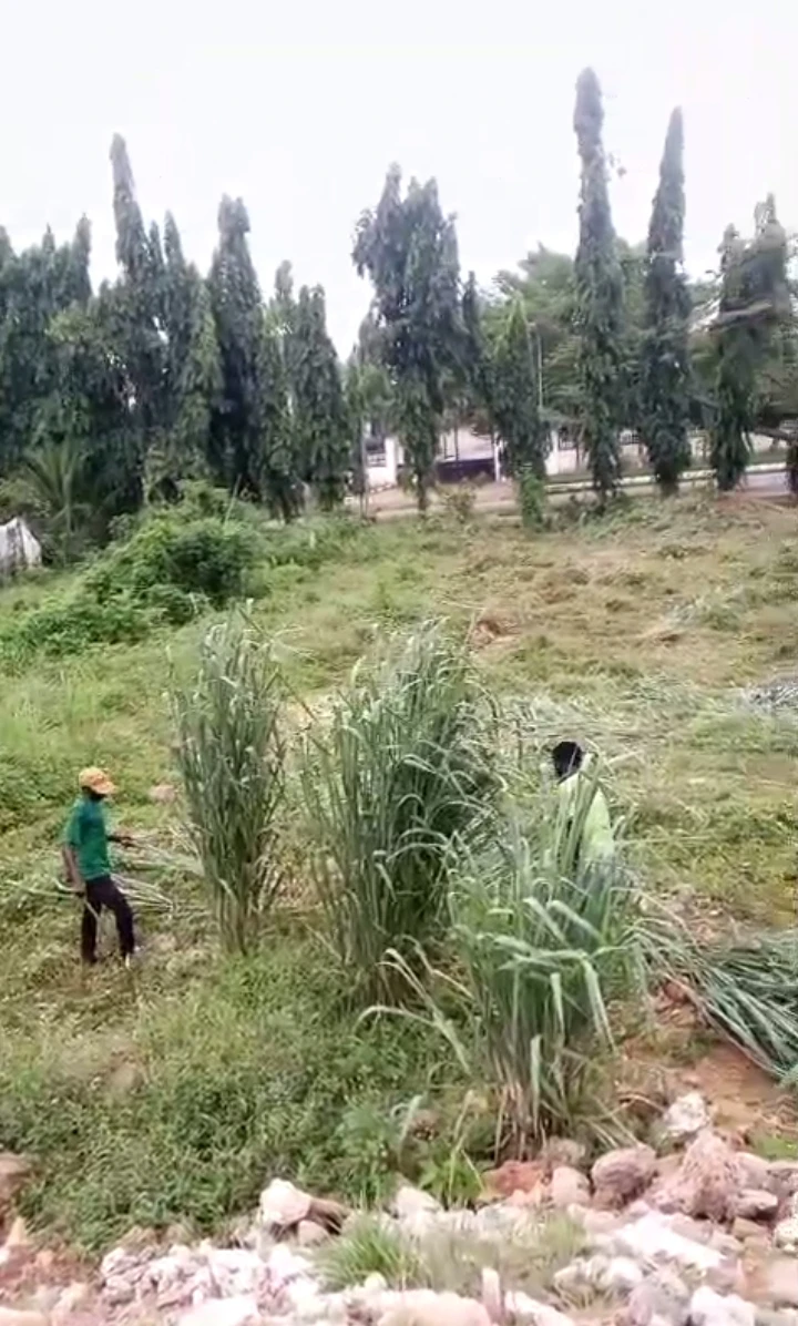 Land for Sale in Warri Delta state, Delta - Image 1