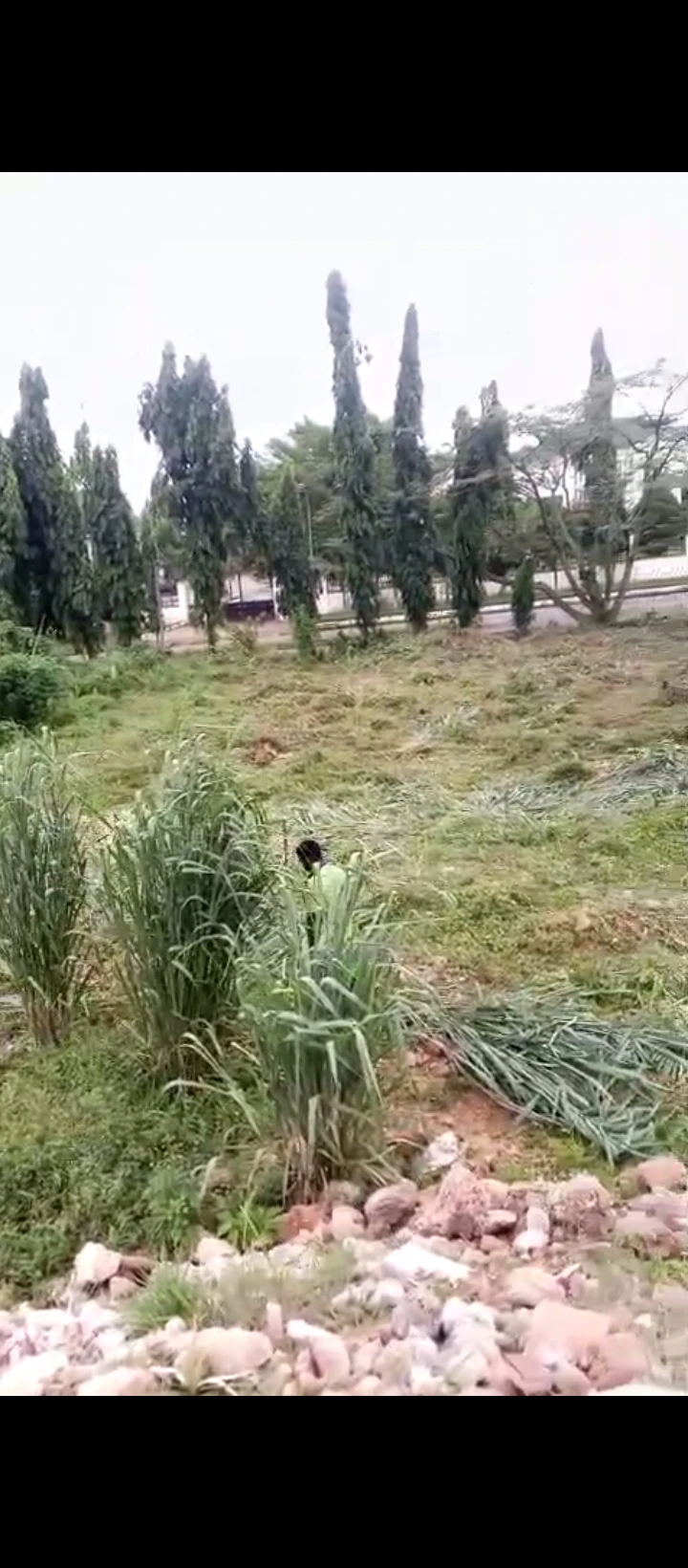 Land for Sale in Warri Delta state, Delta - Image 2