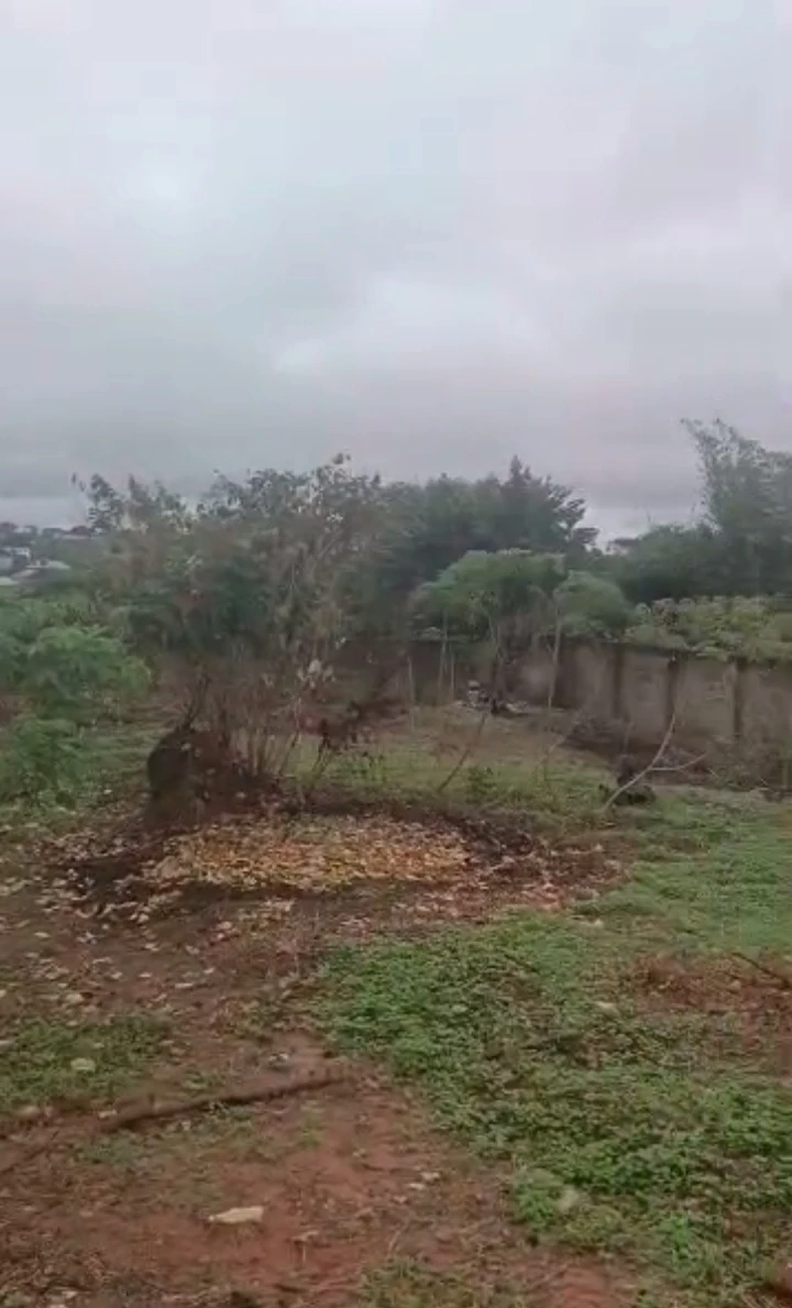 Land for Sale in Ogunwenyin, Edo - Image 2