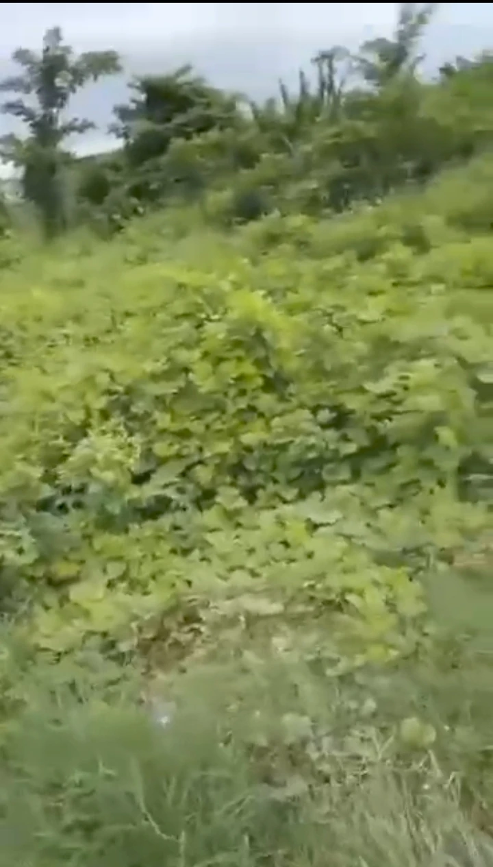 Land for Sale in Ughelli, Delta - Image 1