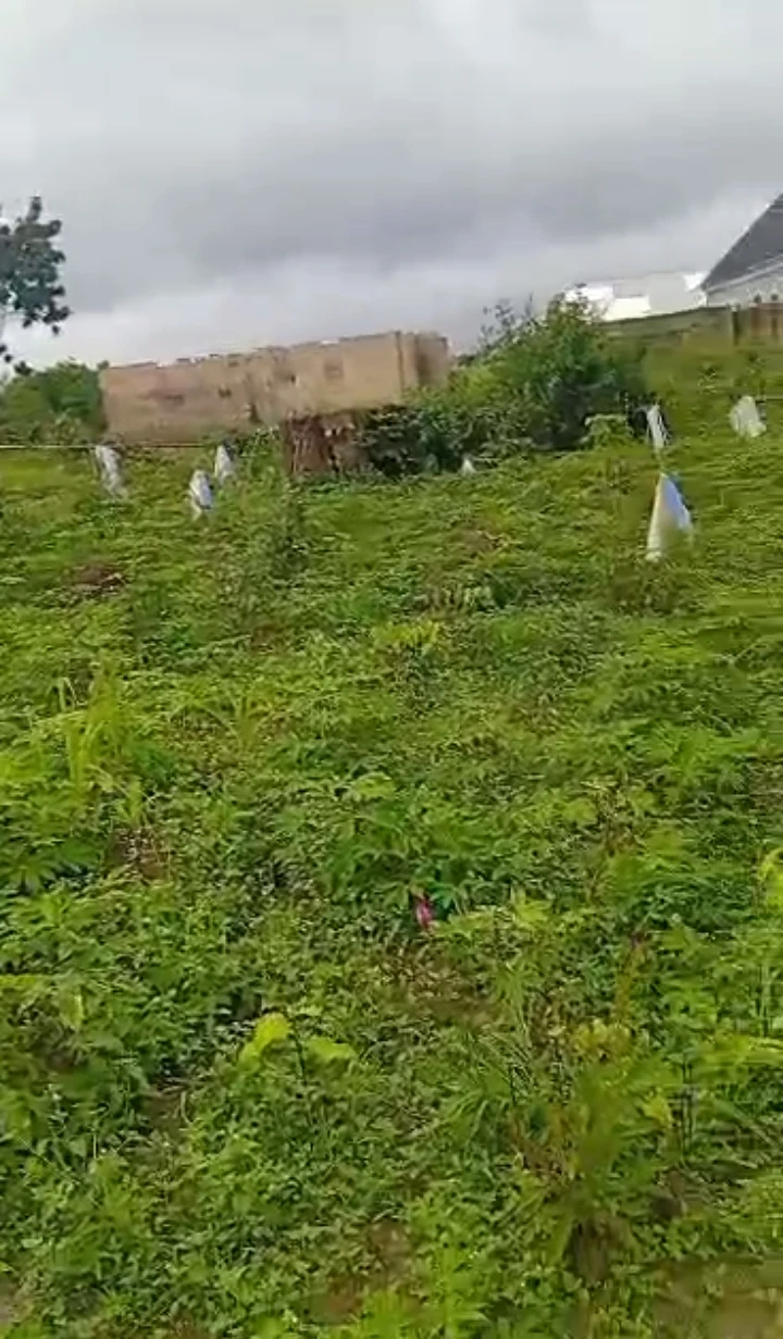 Land for Sale in Warri Delta state, Delta - Image 3