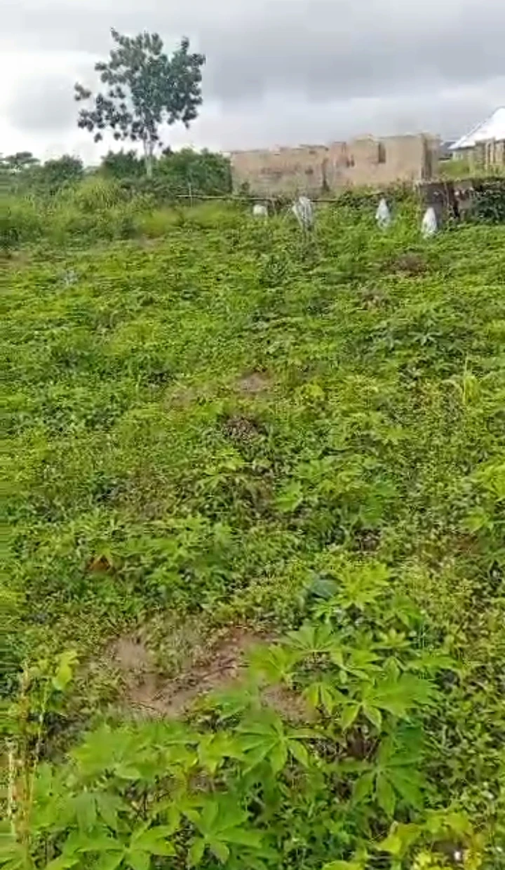 Land for Sale in Warri Delta state, Delta - Image 1