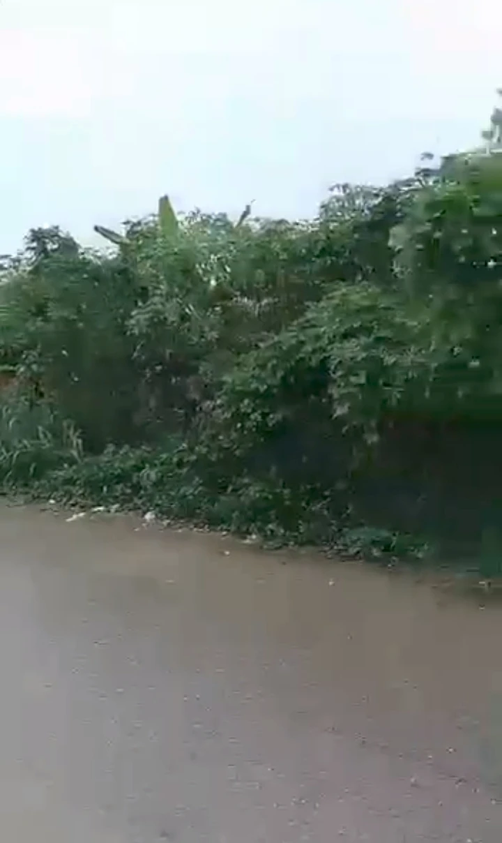 Land for Sale in Ughelli, Delta - Image 1