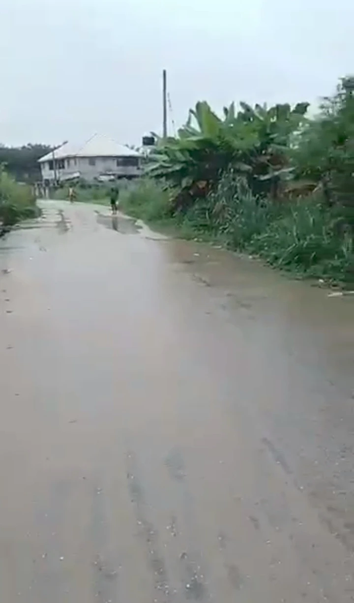 Land for Sale in Ughelli, Delta - Image 3
