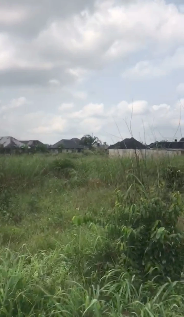 Land for Sale in Ughelli, Delta - Image 3