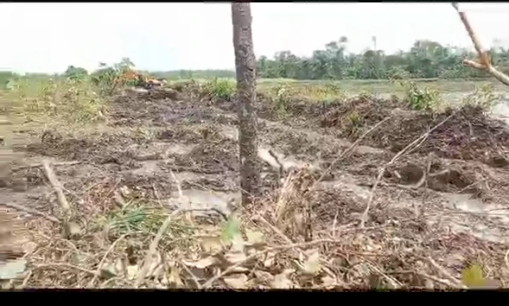 Land for Sale in Okpaka, Delta - Image 2