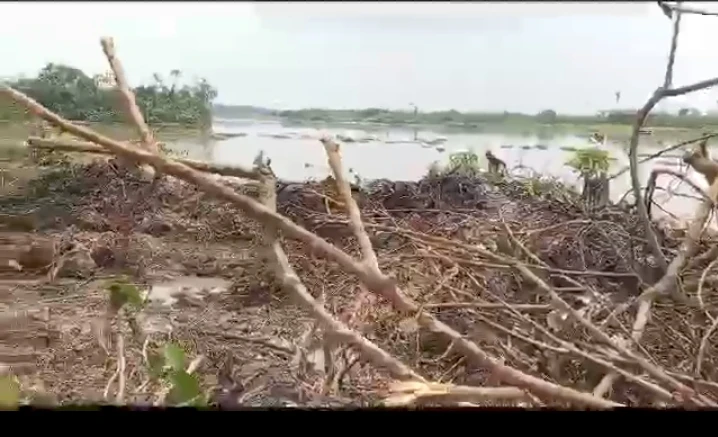 Land for Sale in Okpaka, Delta - Image 1