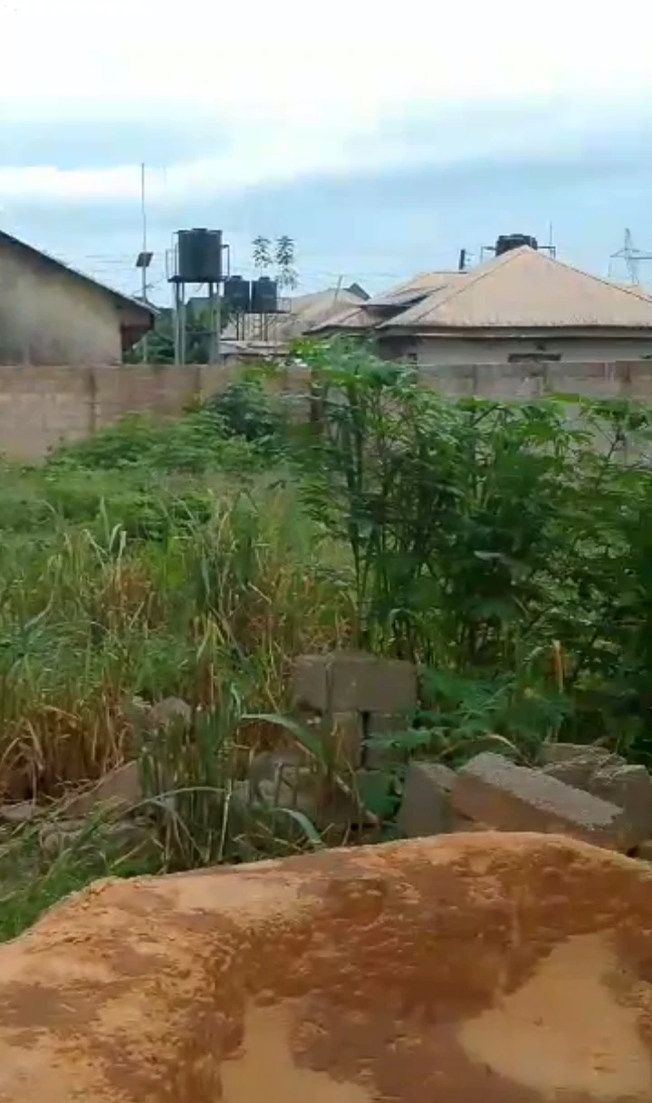 Land for Sale in Shell road sapele, Delta - Image 1