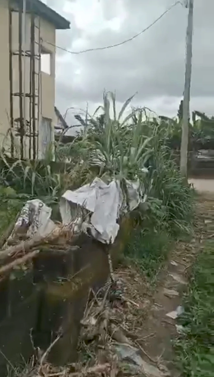 Land for Sale in Osubi Warri Delta state, Delta - Image 1