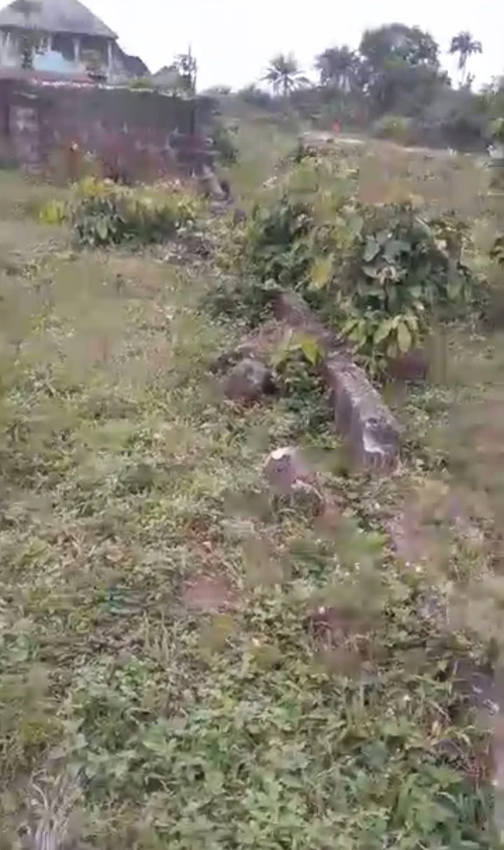 Land for Sale in Ugbomoro, Delta - Image 2
