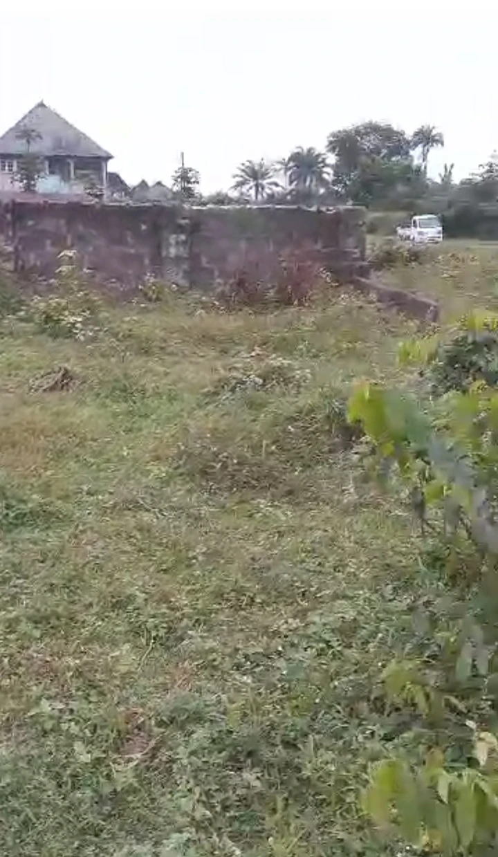 Land for Sale in Ugbomoro, Delta - Image 1