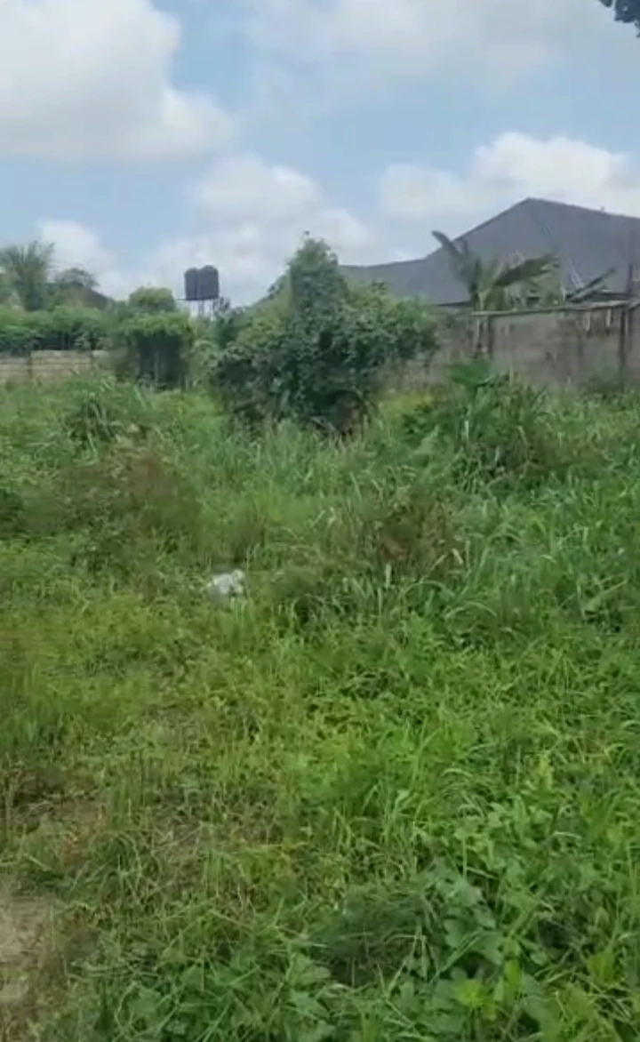Land for Sale in Jeddo Warri Delta state, Delta - Image 2
