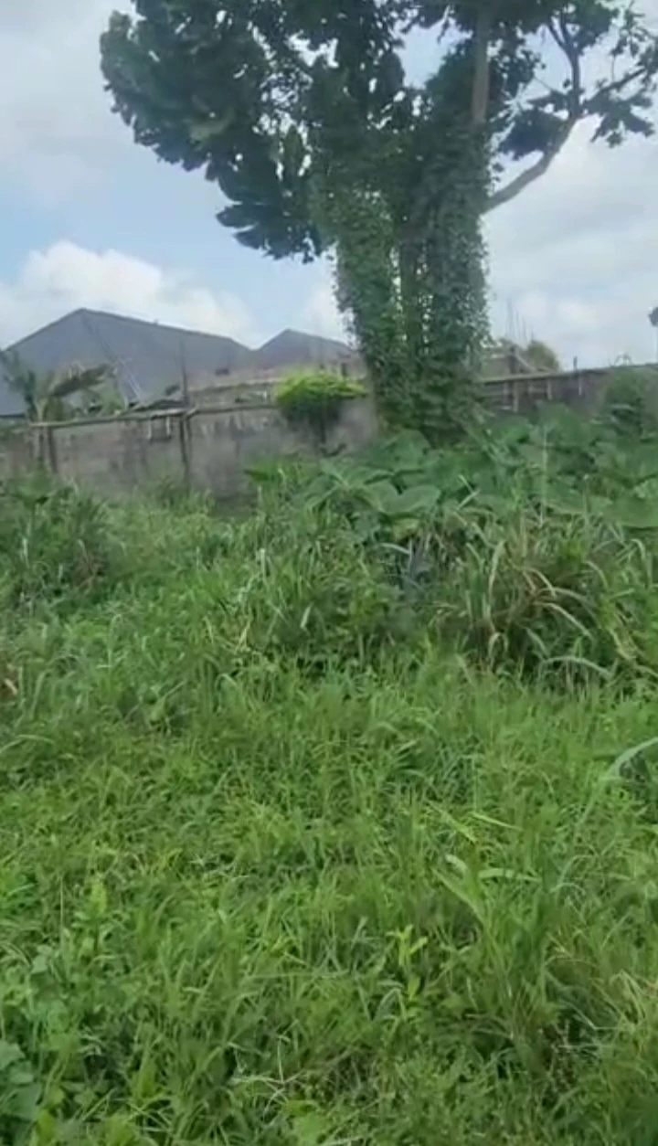 Land for Sale in Jeddo Warri Delta state, Delta - Image 1