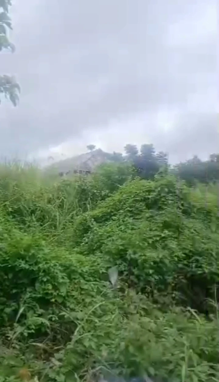 Land for Sale in Arougba, Edo - Image 1