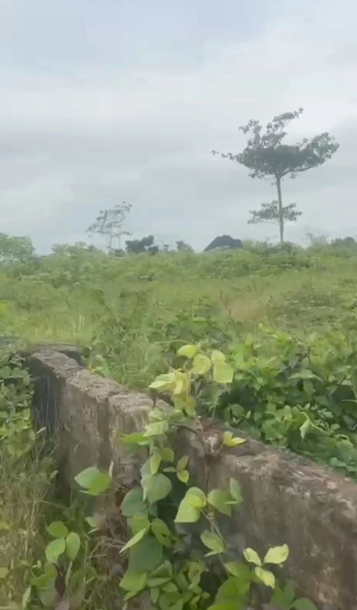 Land for Sale in Utesi off sapele road Benin city, Edo - Image 2
