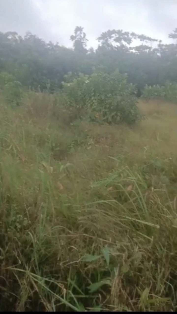 Land for Sale in Udu Warri, Delta - Image 2