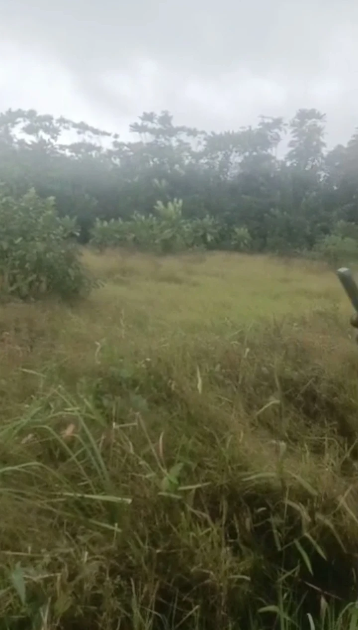 Land for Sale in Udu Warri, Delta - Image 1