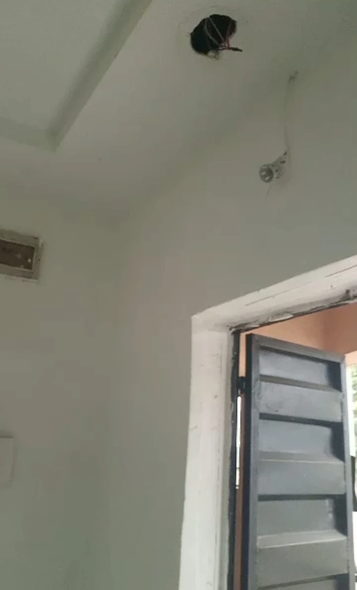 Store for Rent in Osubi, Delta - Image 3