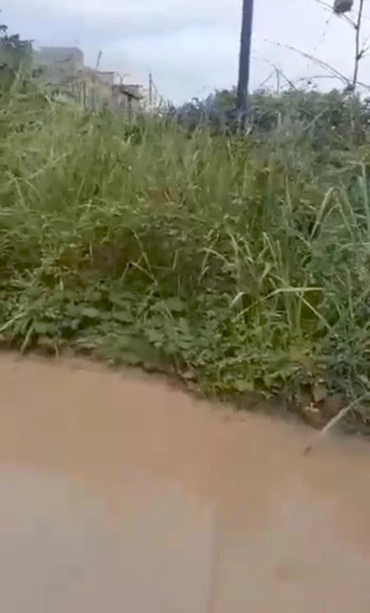 Land for Sale in Okuokoko, Delta - Image 2