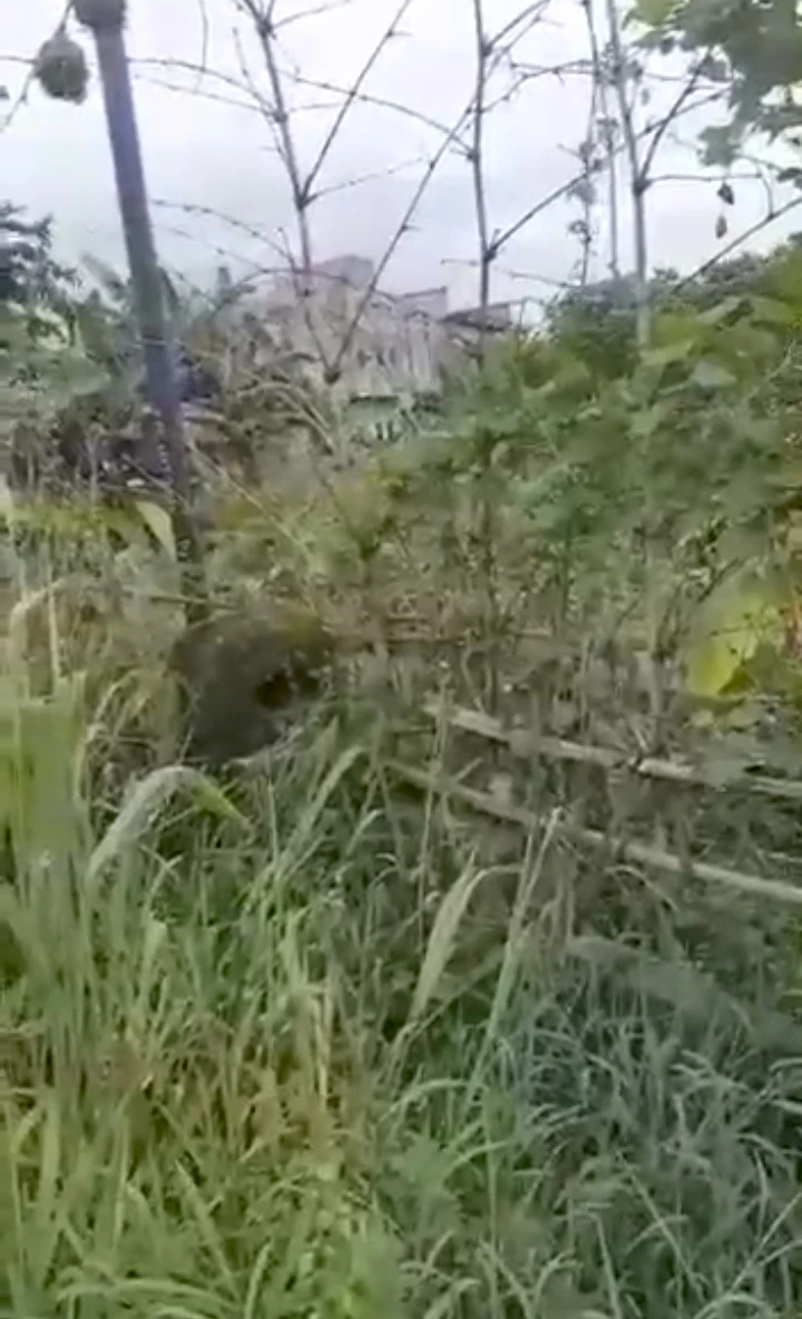 Land for Sale in Okuokoko, Delta - Image 1