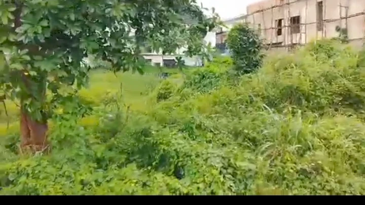 Land for Sale in Guobadia, Edo - Image 1