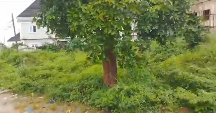 Land for Sale in Guobadia, Edo - Image 2