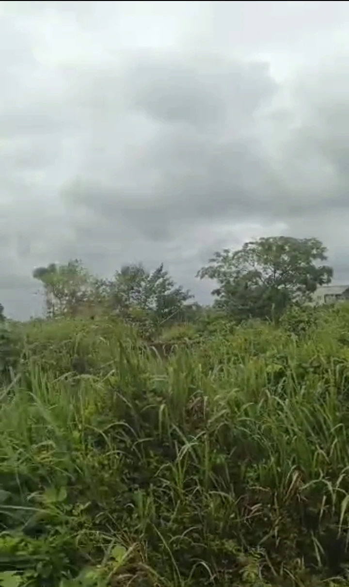 Land for Sale in Obagie Benin city, Edo - Image 1