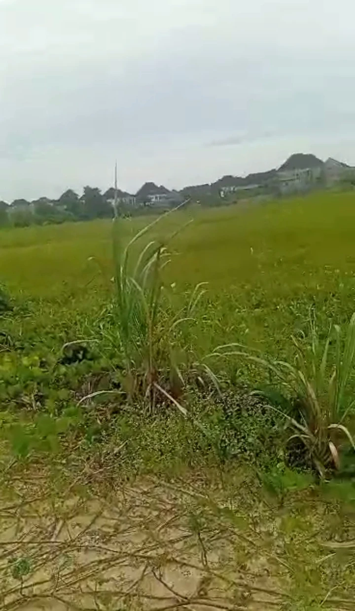 Land for Sale in Opete, Delta - Image 2